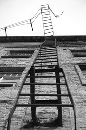 Friday ladder / ***