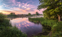 In harmony with nature / ***
