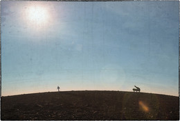 "Space Symphony" / ***