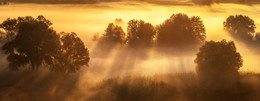 The rays of the soul / ***