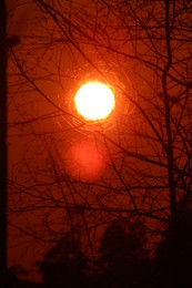 Once again, the sun .... / ***