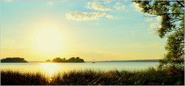 summer evening / ***