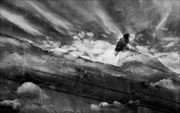 Through time / ***