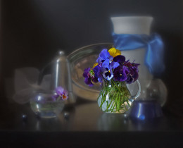 Pansy / ***