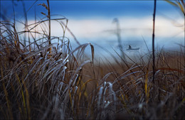 "Fisherman" / ***