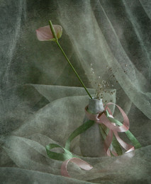 Dance with ribbons / ***