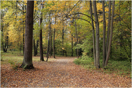 Autumn time / ***