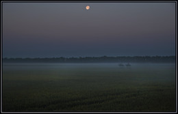 The night Watch. / ***