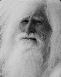 Leonardo or Gandalf / ***