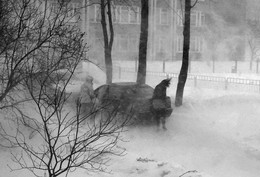 Snowstorm / ***