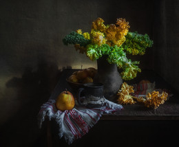 The September preliminary evening ... / ...