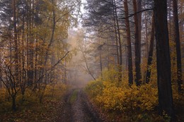 &#39;&#39; Visiting autumn  &#39;&#39; / ***