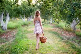 Apples / ***