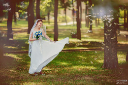 Fairy Bride / ***