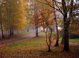 Autumn outfit. / ***