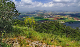 Spring on the slopes of Mount Gilboa / ***