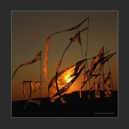 Shambal 22. 2015. land art / ***