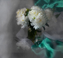 The colors of white clouds / ***