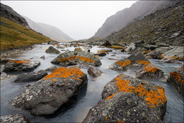 Different Altai / ***