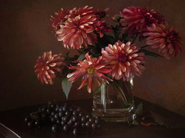 Neueste Dahlien ... / ***