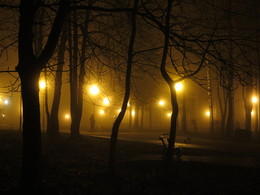 Early morning of late autumn / ***