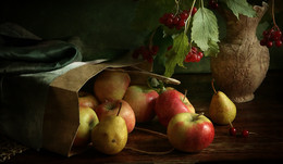 Apples with snowball / ...
