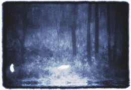 Transparent Dreams / ***