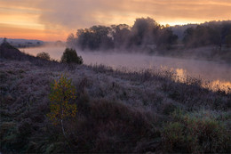 first frost / ***