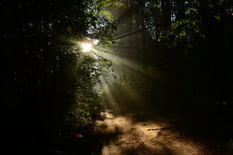play of light / ***