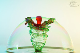 The bubble / ***