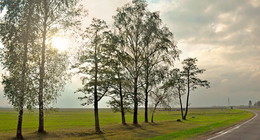 After the rain / ***