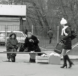 Members of the jury or the market podium / ***