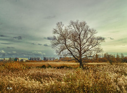 Geist Herbst / ***