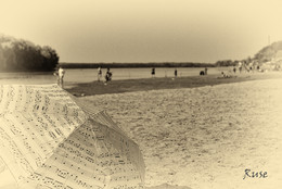 Die Donau / ***
