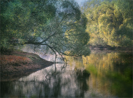 Im Spiegel des Teiches / ***