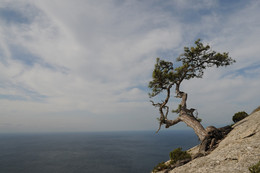 On the edge... / ***