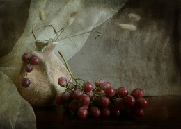 vine / ...