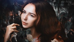  / ***