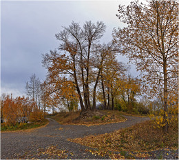 Autumn track / ***