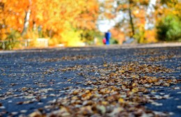 Nezolotoe-section / ***