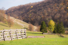 Autumn time / ***