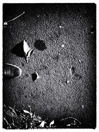 Squareness / ***