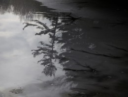 Hundred Years of Solitude / ***