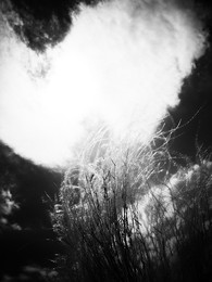 lieben / ***