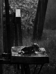 What are silent clowns? .. / ***