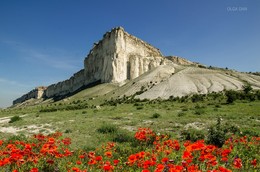 About White rock and scarlet poppies / ***