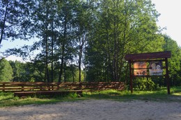 Im Wald / ***