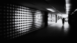 Out of the darkness coming, coming to light. / ***