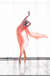 The beauty of ballet / ***