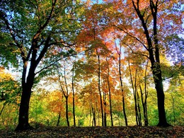 Autumn on the precipice / ***